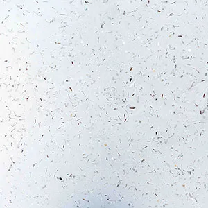 Oikos InDeco